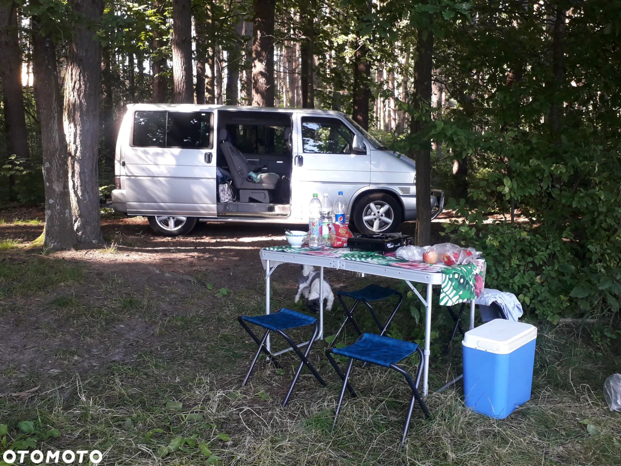 Volkswagen Multivan TDI - 1