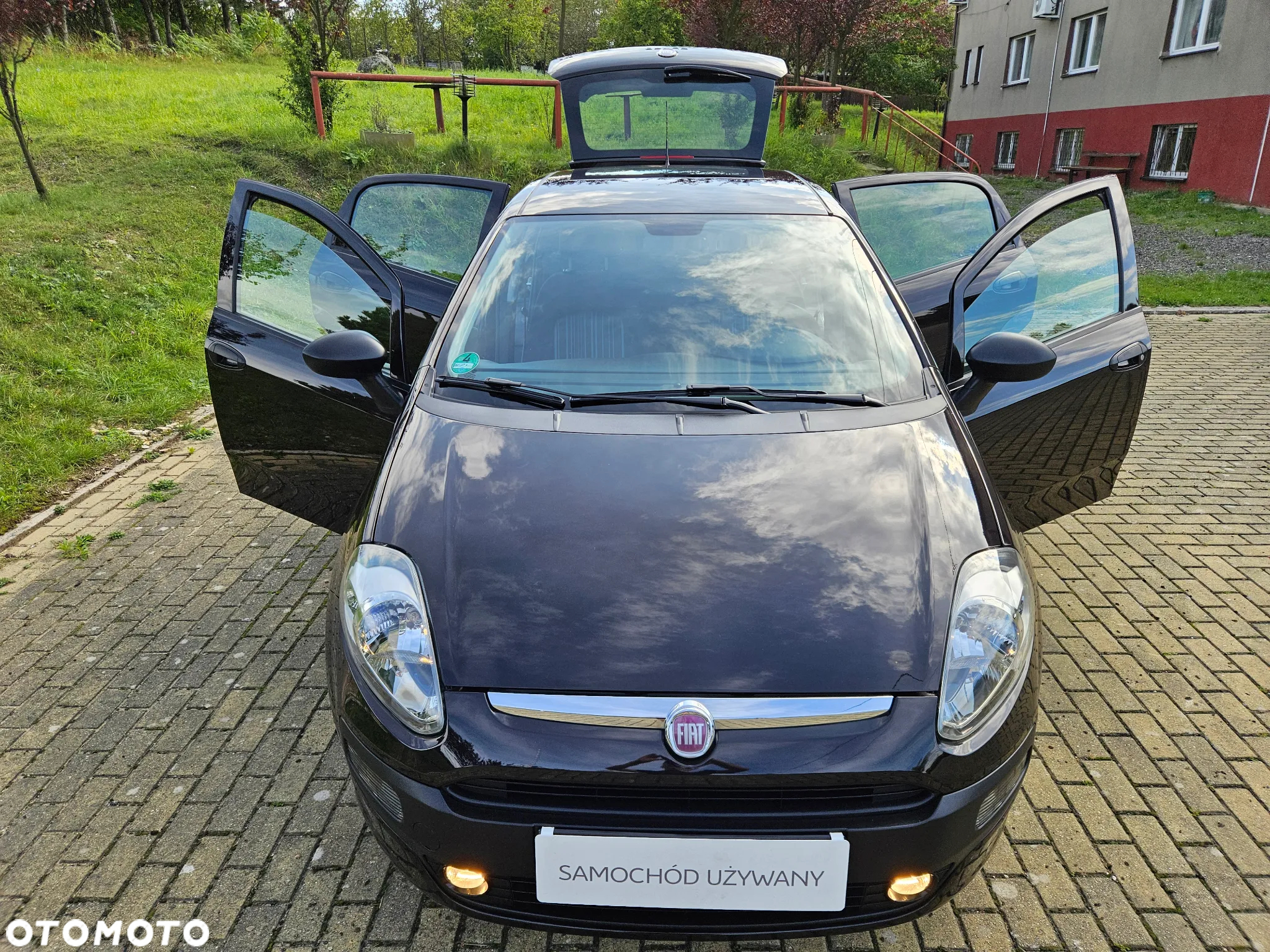 Fiat Punto 1.2 Easy - 33