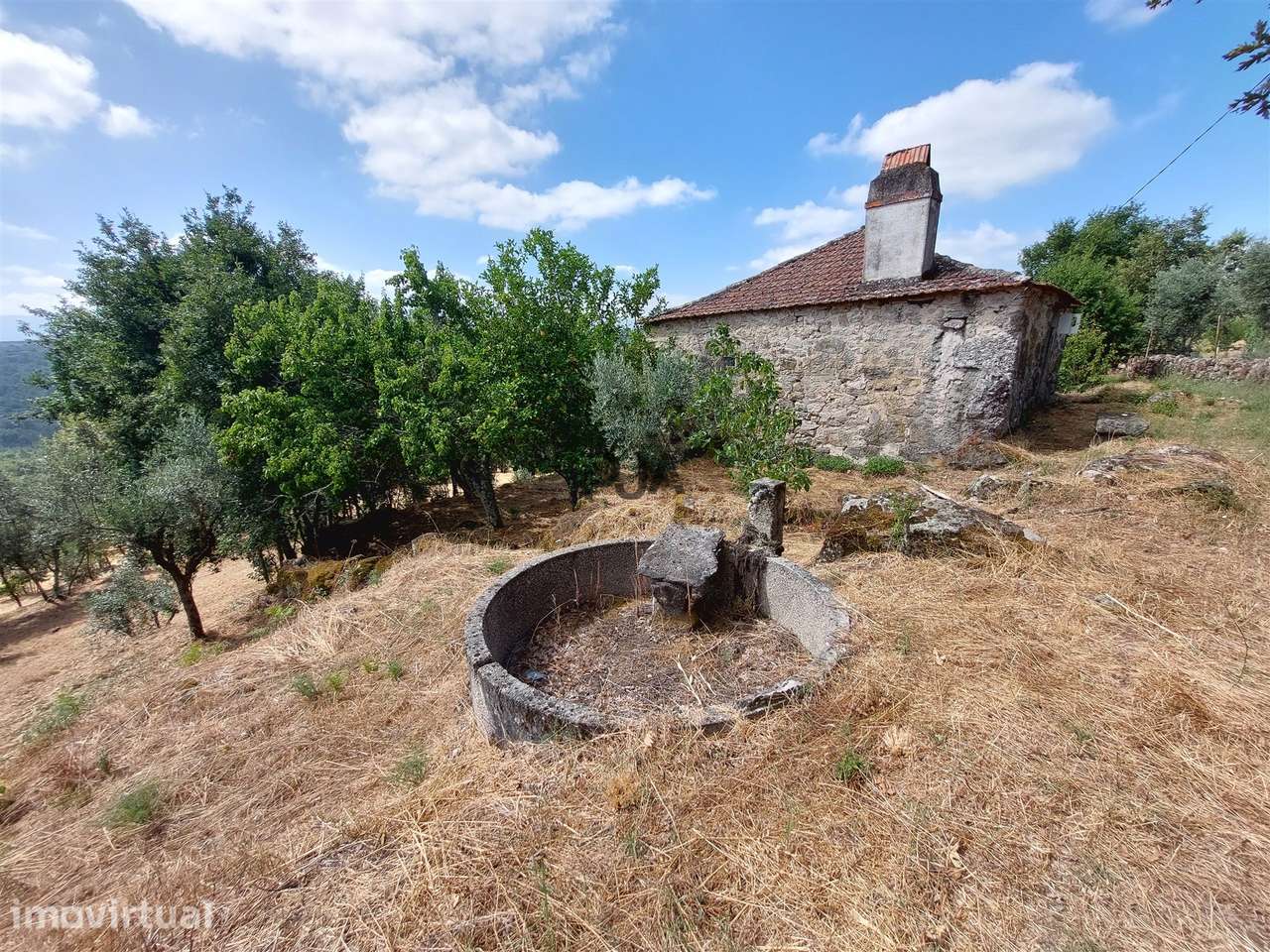 Quinta com 3 Ha em Fornos de Algodres - Grande imagem: 5/12