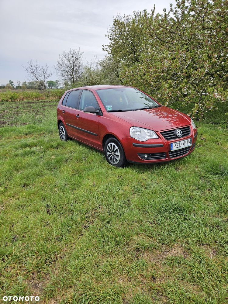 Volkswagen Polo - 1