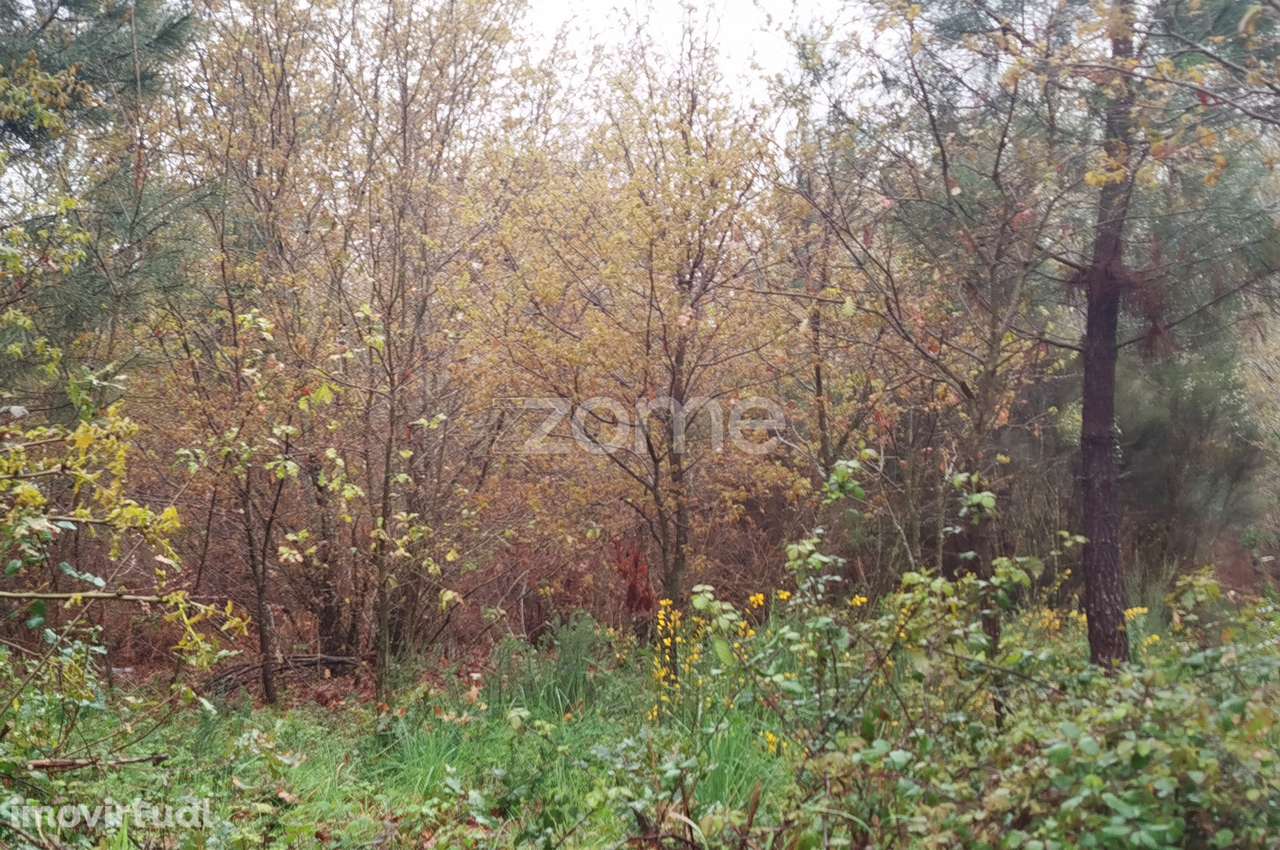 Terreno Urbanizável – O Local Perfeito para Construir a Sua Moradi... - Grande imagem: 2/44