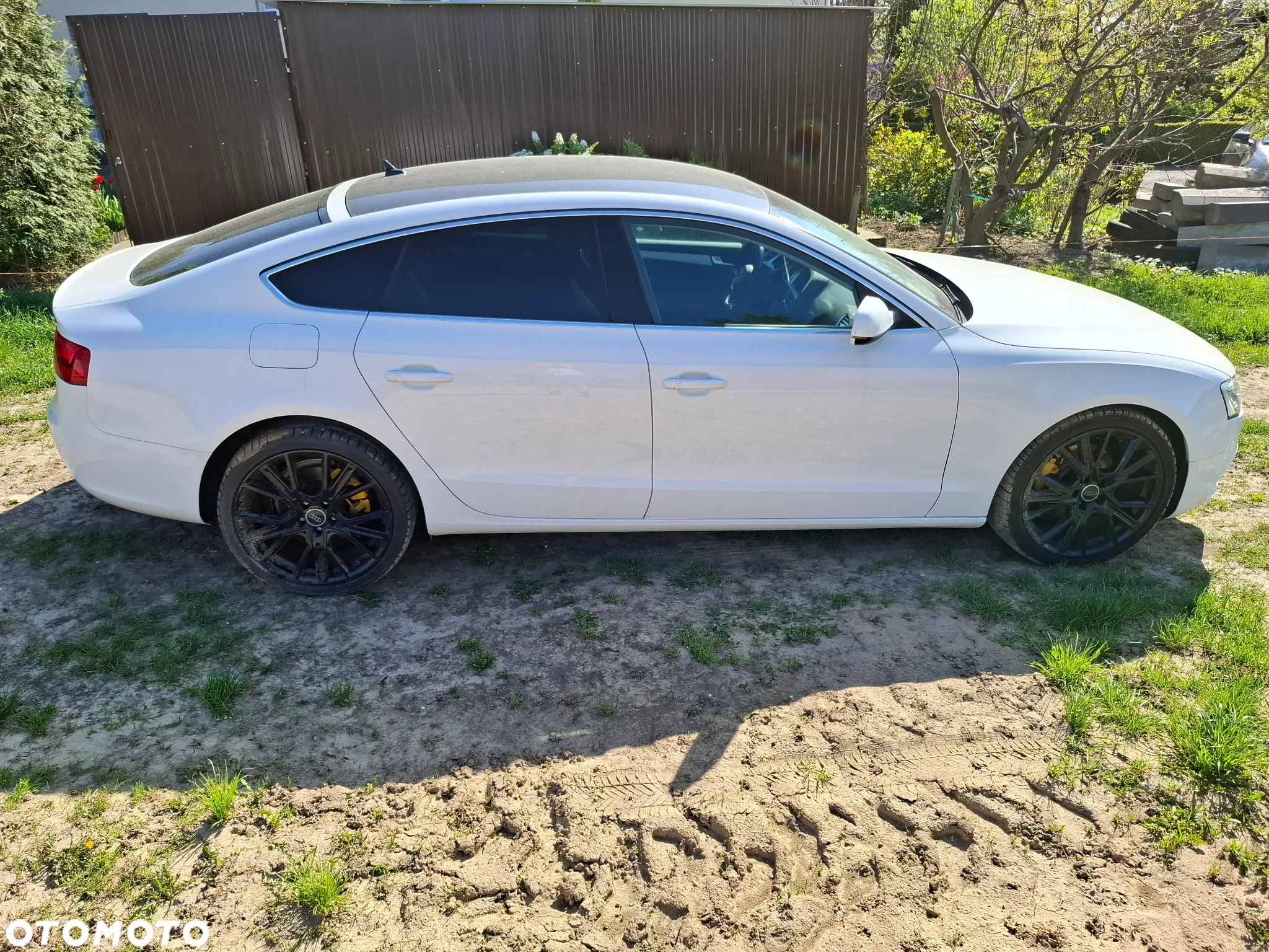 Audi A5 2.0 TDI Sportback DPF (clean diesel) multitronic - 5