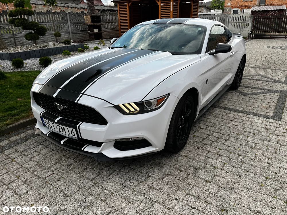 Ford Mustang 3.7 V6 - 2