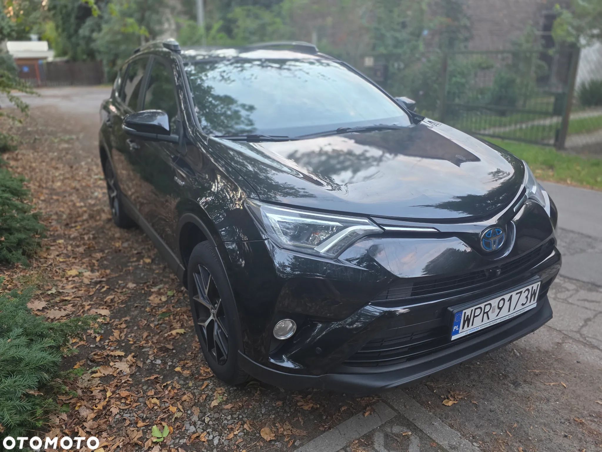 Toyota RAV4 - 1