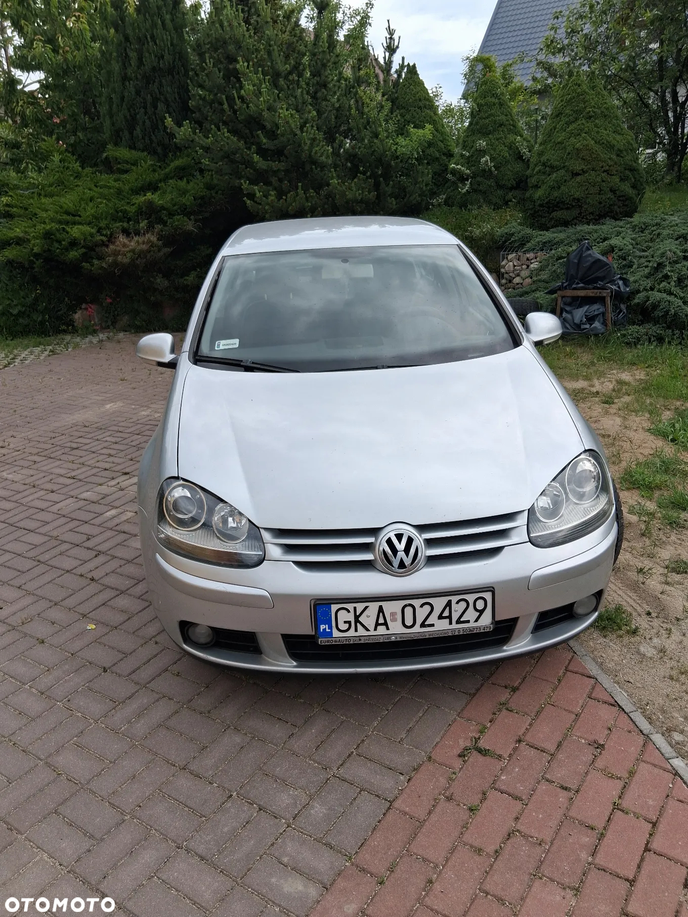 Volkswagen Golf - 2