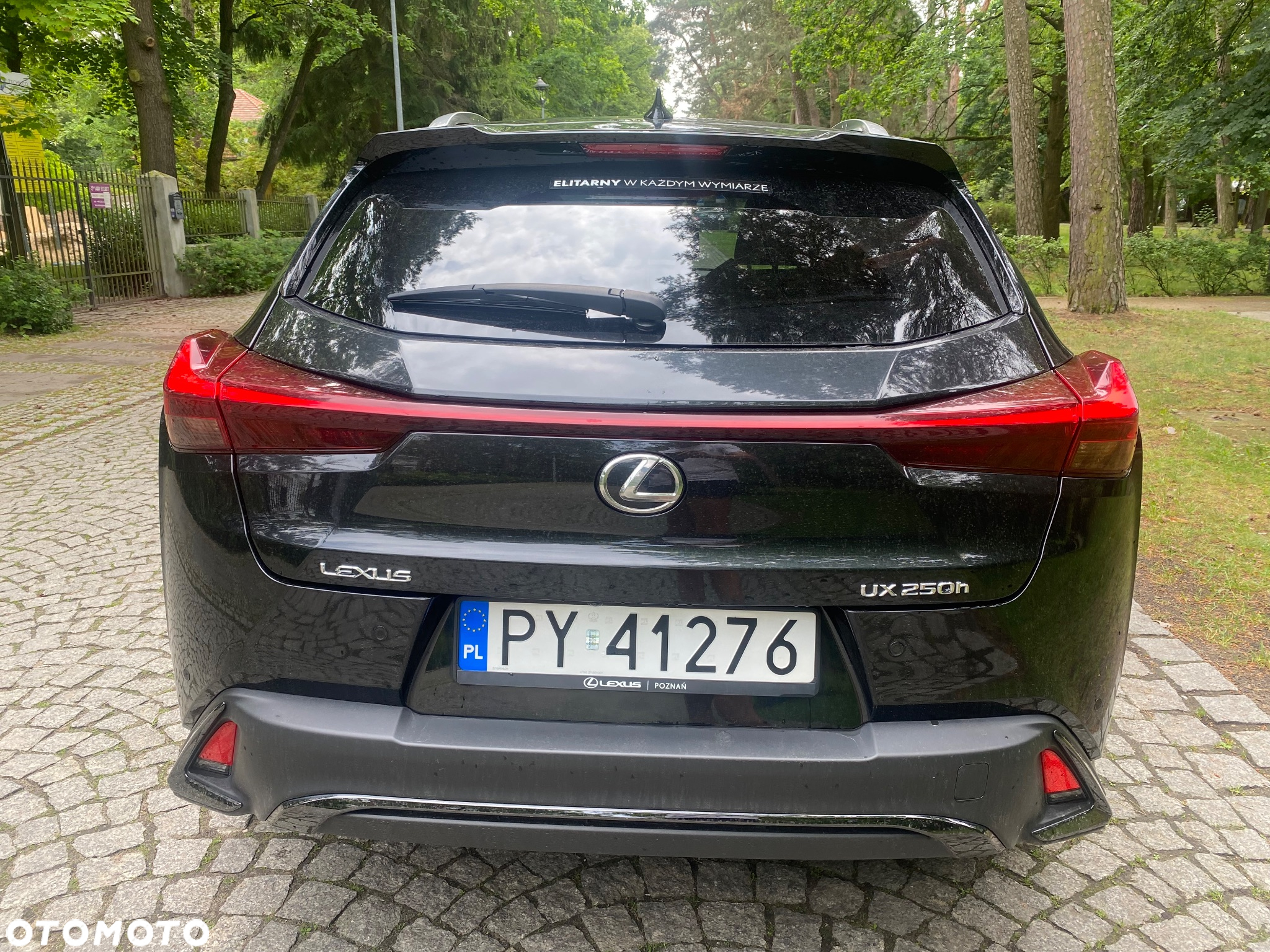 Lexus UX 250h GPF F Sport Design 2WD - 7