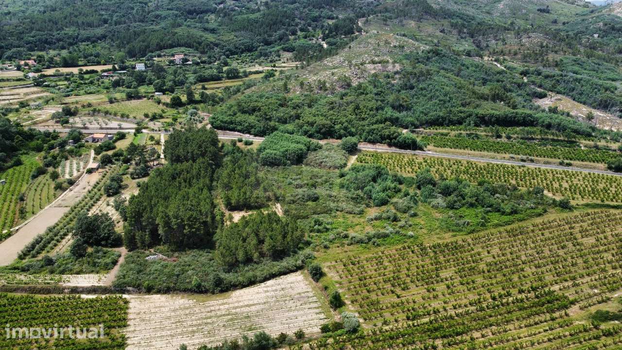 Terreno Rústico c/ 5.629 m² em Aldeia do Souto – Covilhã - Grande imagem: 3/10
