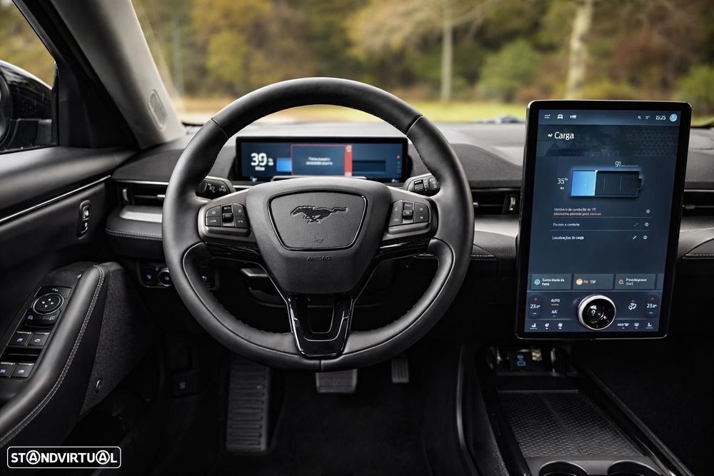 Ford Mustang Mach-E Standard - 10