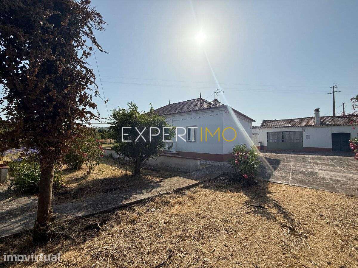 Quinta com Potencial Urbanístico- Projeto para 13 Moradias... - Grande imagem: 3/17