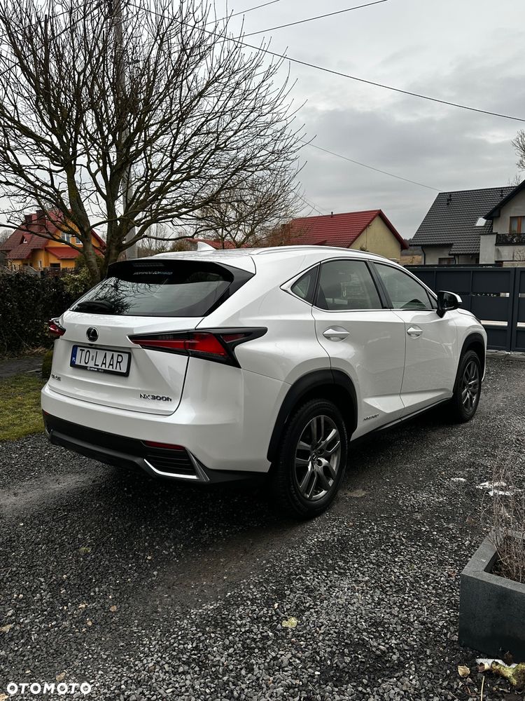 Lexus NX - 8
