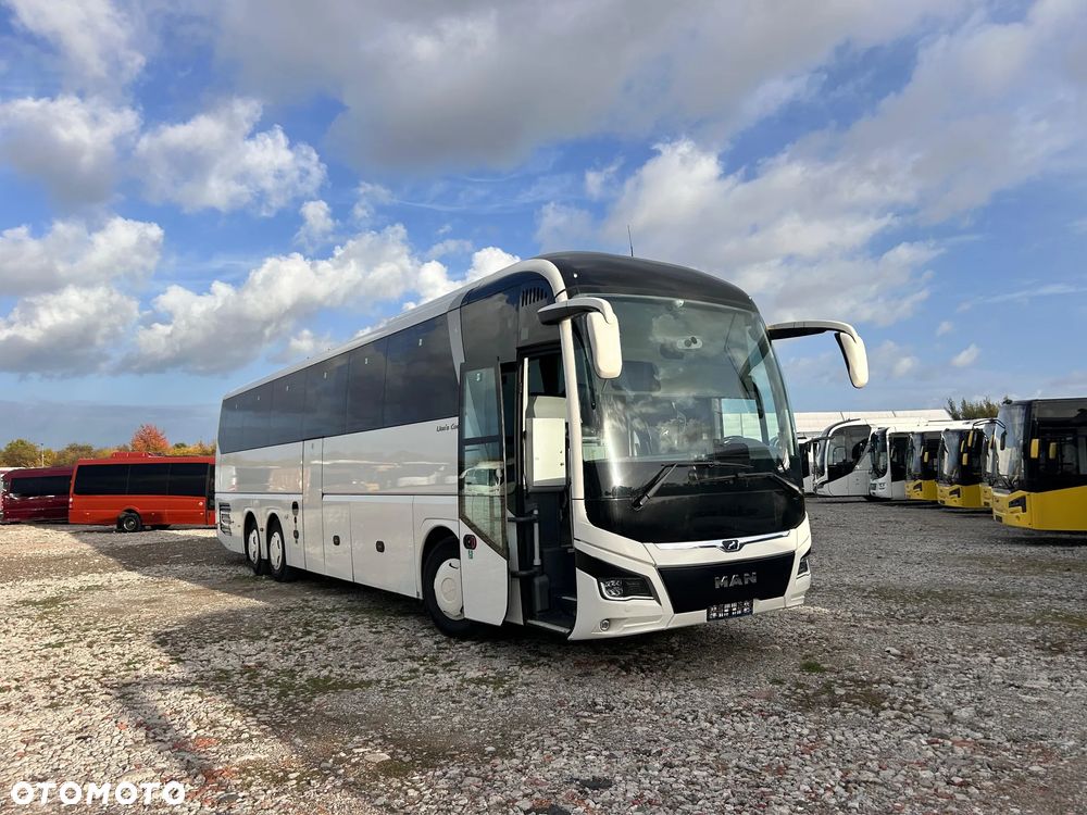 MAN LIONS COACH - 2