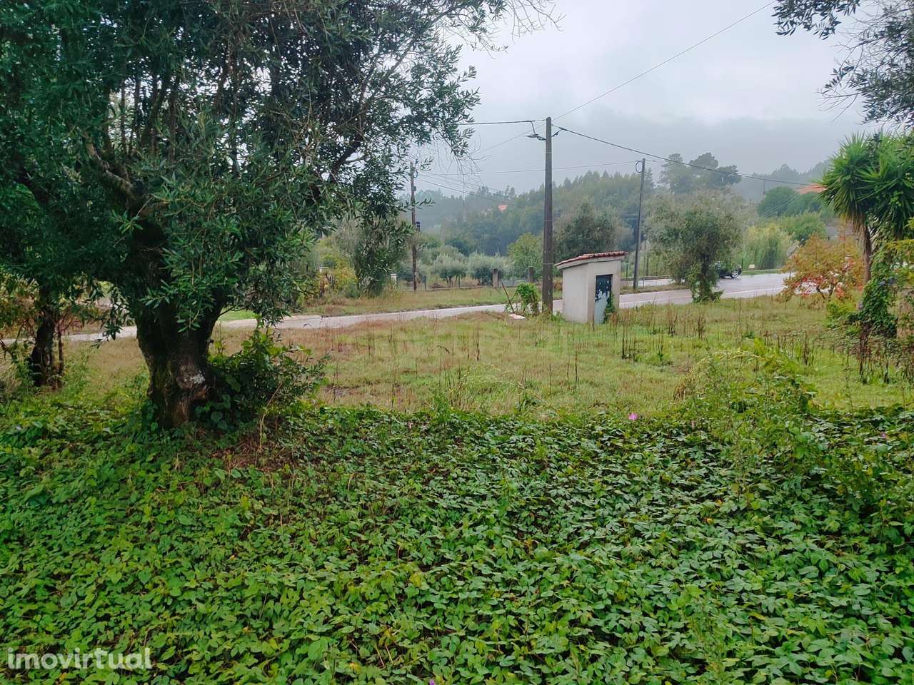 Moradia em ruínas em terreno misto, urbano e rústico, em Vendas do Rij - Grande imagem: 5/15