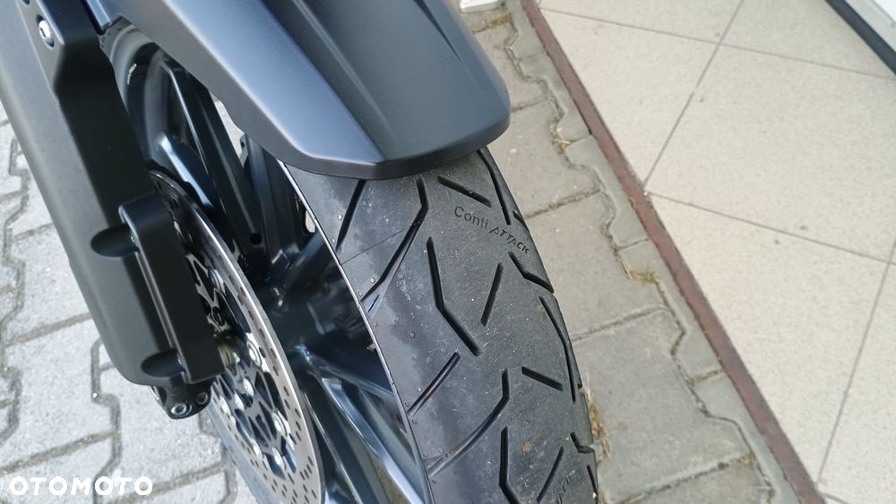 Triumph Tiger - 24