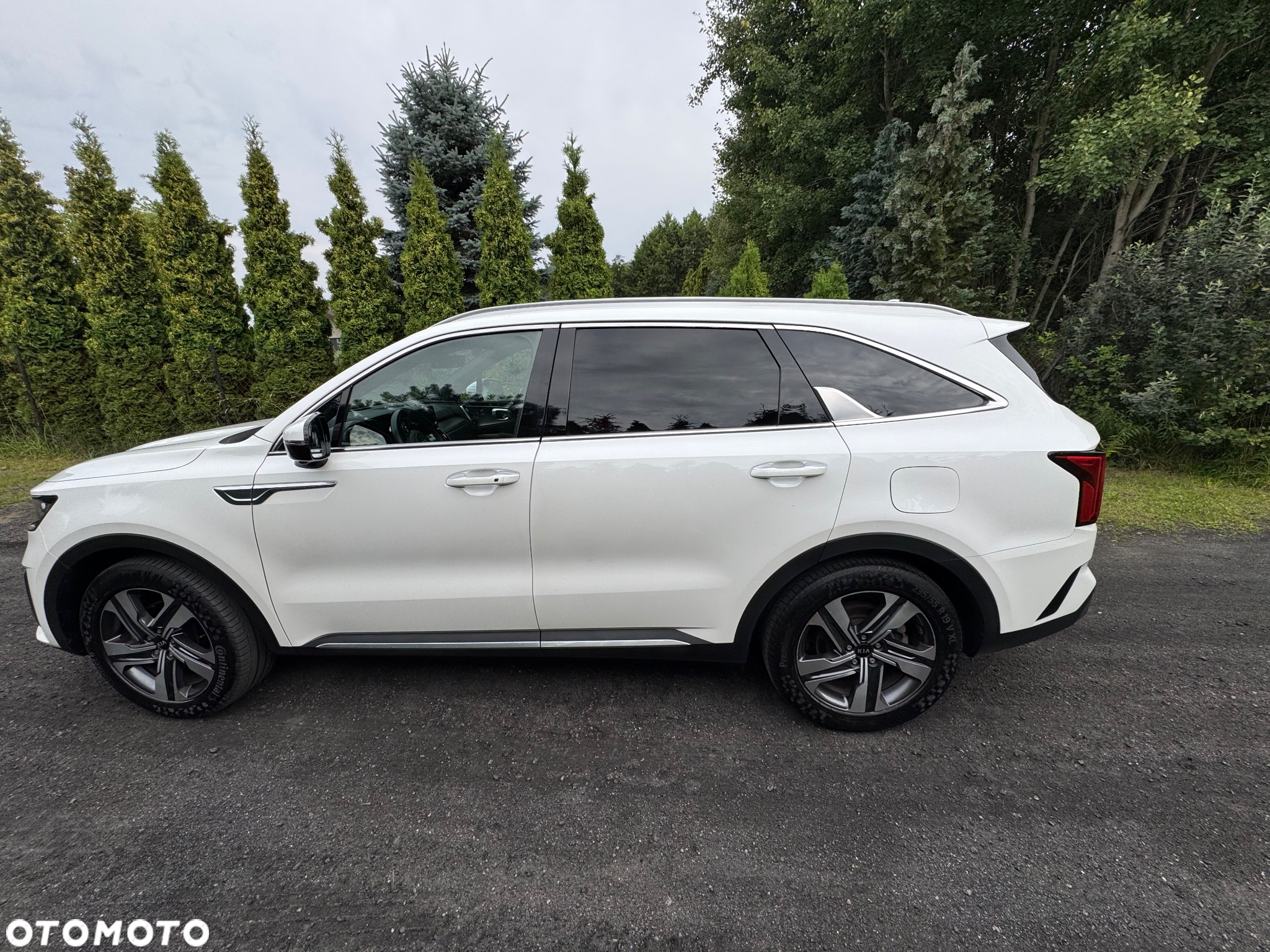 Kia Sorento 1.6 T-GDI HEV Prestige Line 4WD 7os - 6