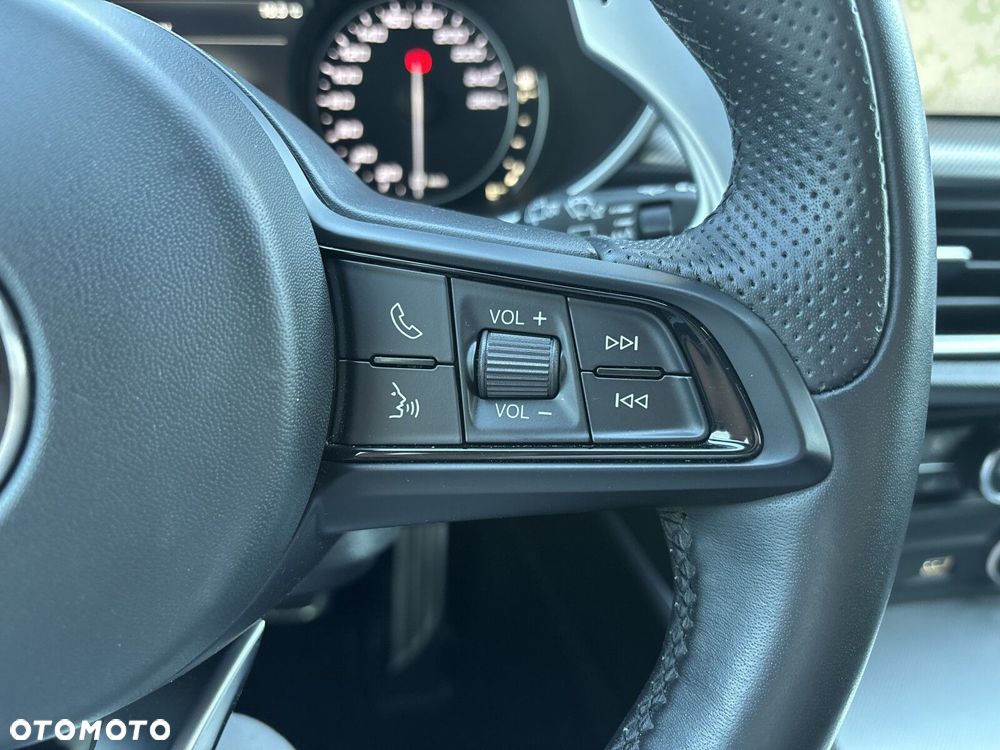 Alfa Romeo Stelvio 2.0 Turbo Veloce Q4 - 14