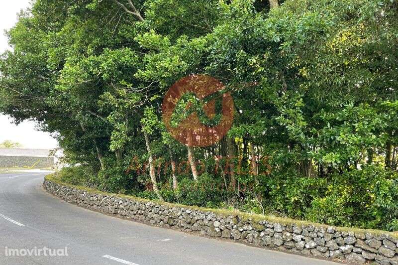 Venda Terreno - Grande imagem: 5/13