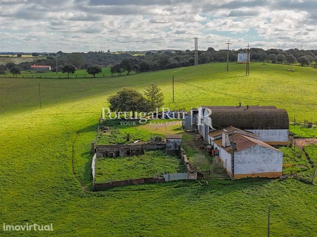 Quinta de 6 ha com várias construções em Pavia - Grande imagem: 3/31