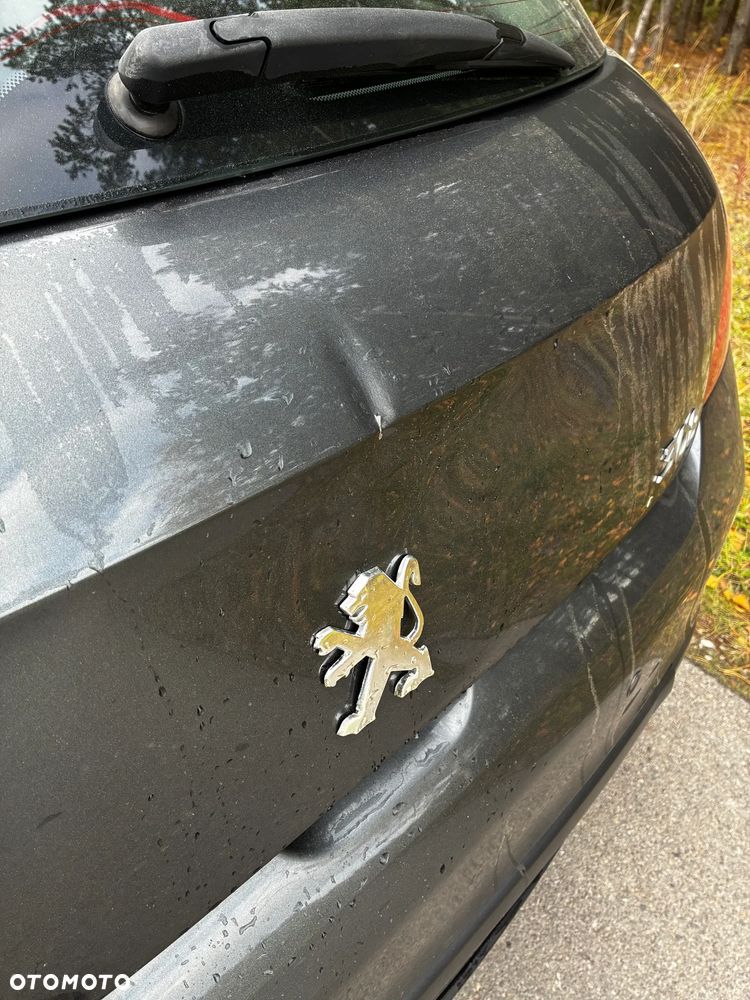 Peugeot 308 2008 photo 4