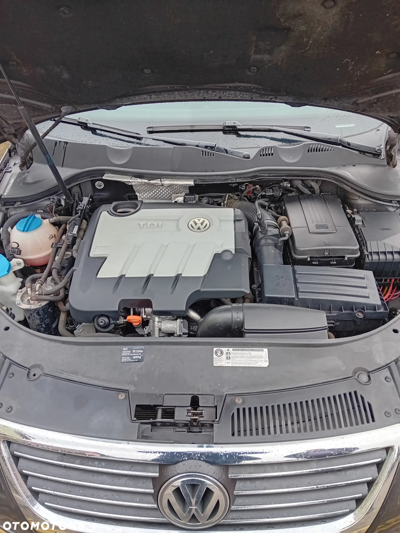 Volkswagen Passat - 8