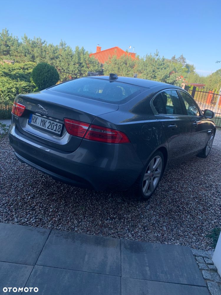 Jaguar XE - 6
