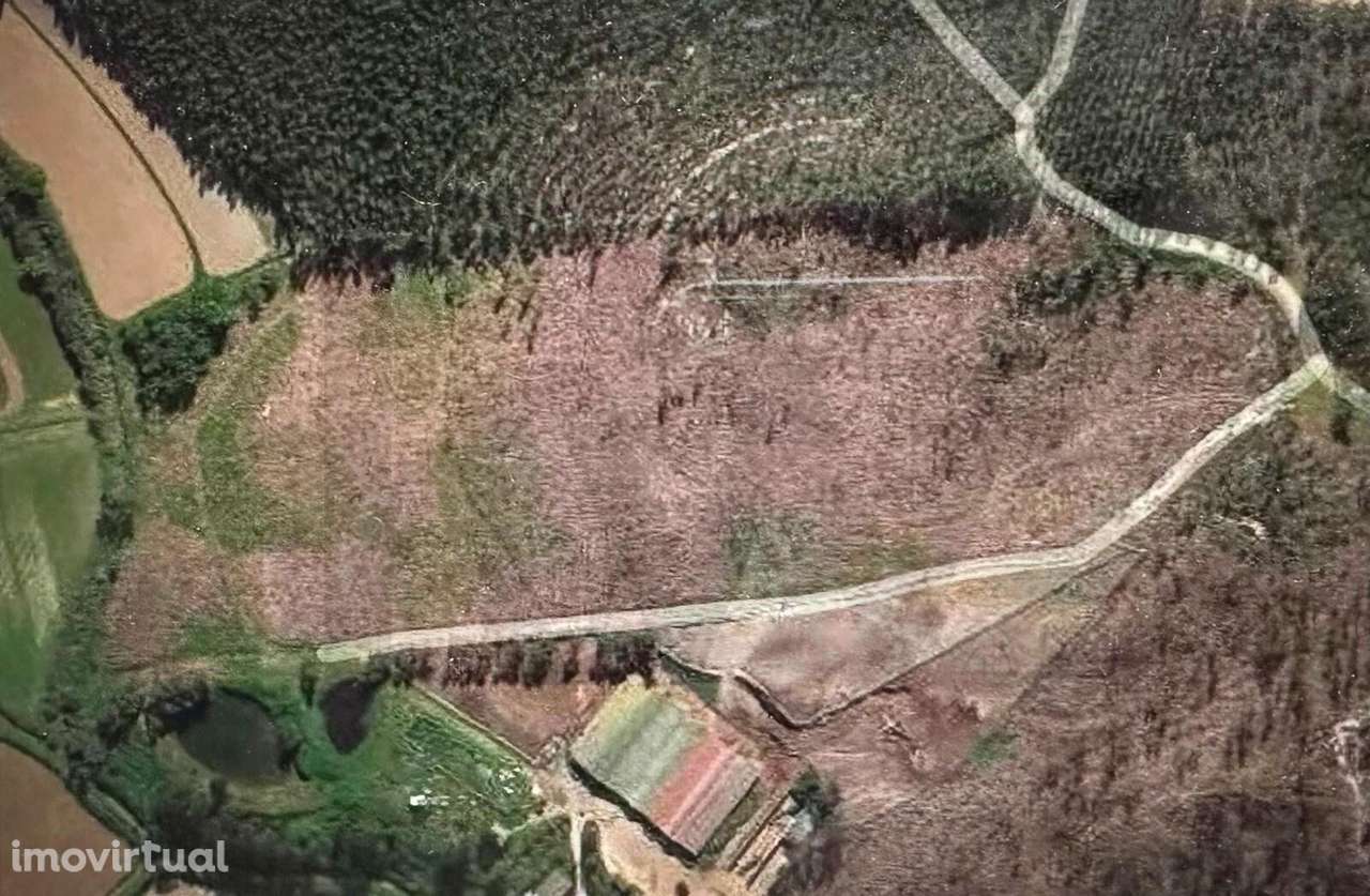 Torres Vedras Ramalhal Pisão Terreno Rústico para venda com 62440m2 - Grande imagem: 2/2