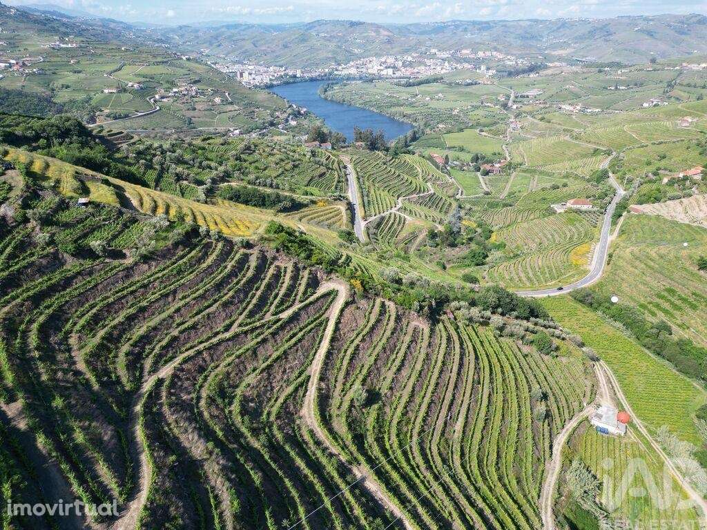 Terreno Agrícola em Samodães de 32187,00 m2 - Grande imagem: 4/9