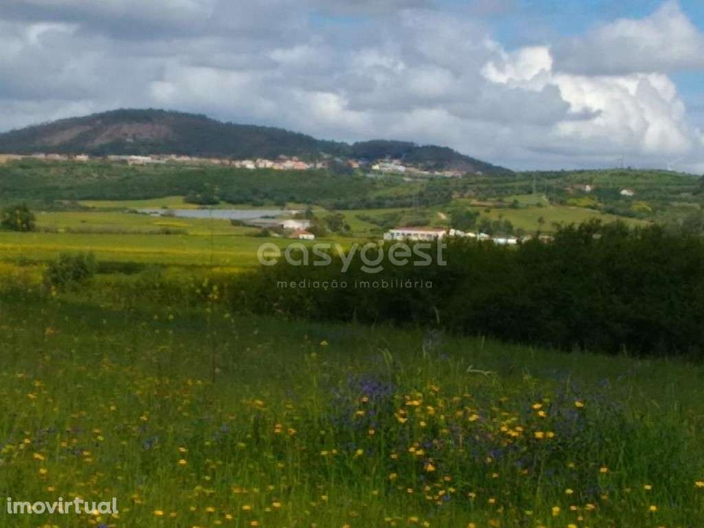 Terreno com 23160m2-situado em limites do Casal do Urmal - Grande imagem: 3/28