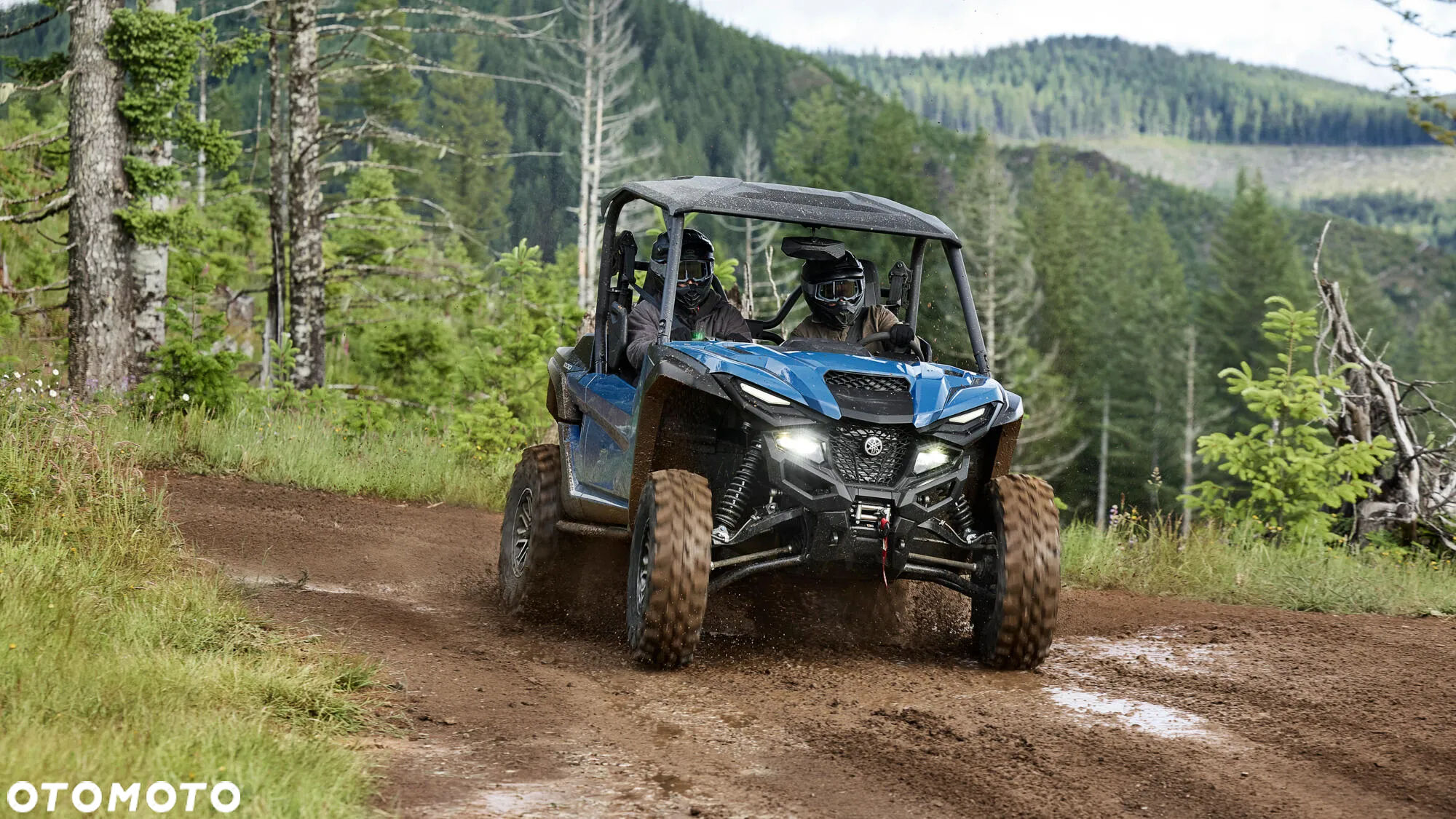 Yamaha Wolverine - 4