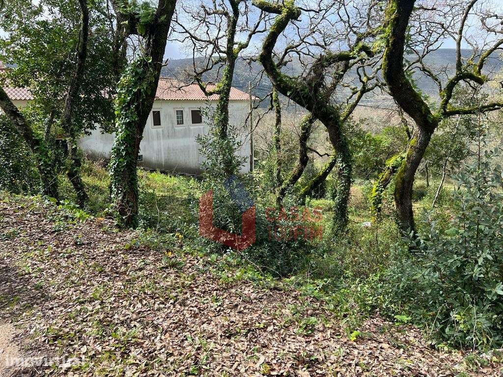 Terreno urbano com 1.700m2 em Alvados, Porto de Mós - Grande imagem: 2/3