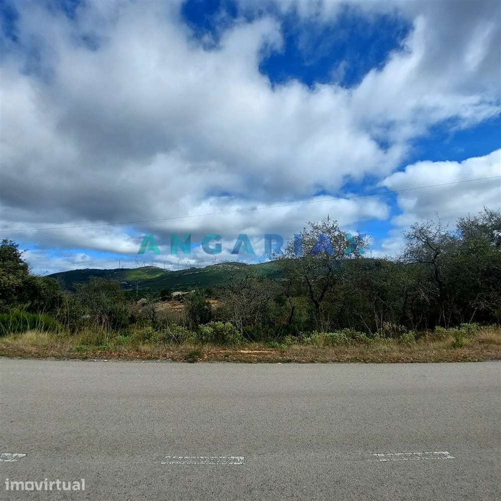 ANG1223 - Terreno para Venda em Alqueidão da Serra, Porto de Mós - Grande imagem: 5/5