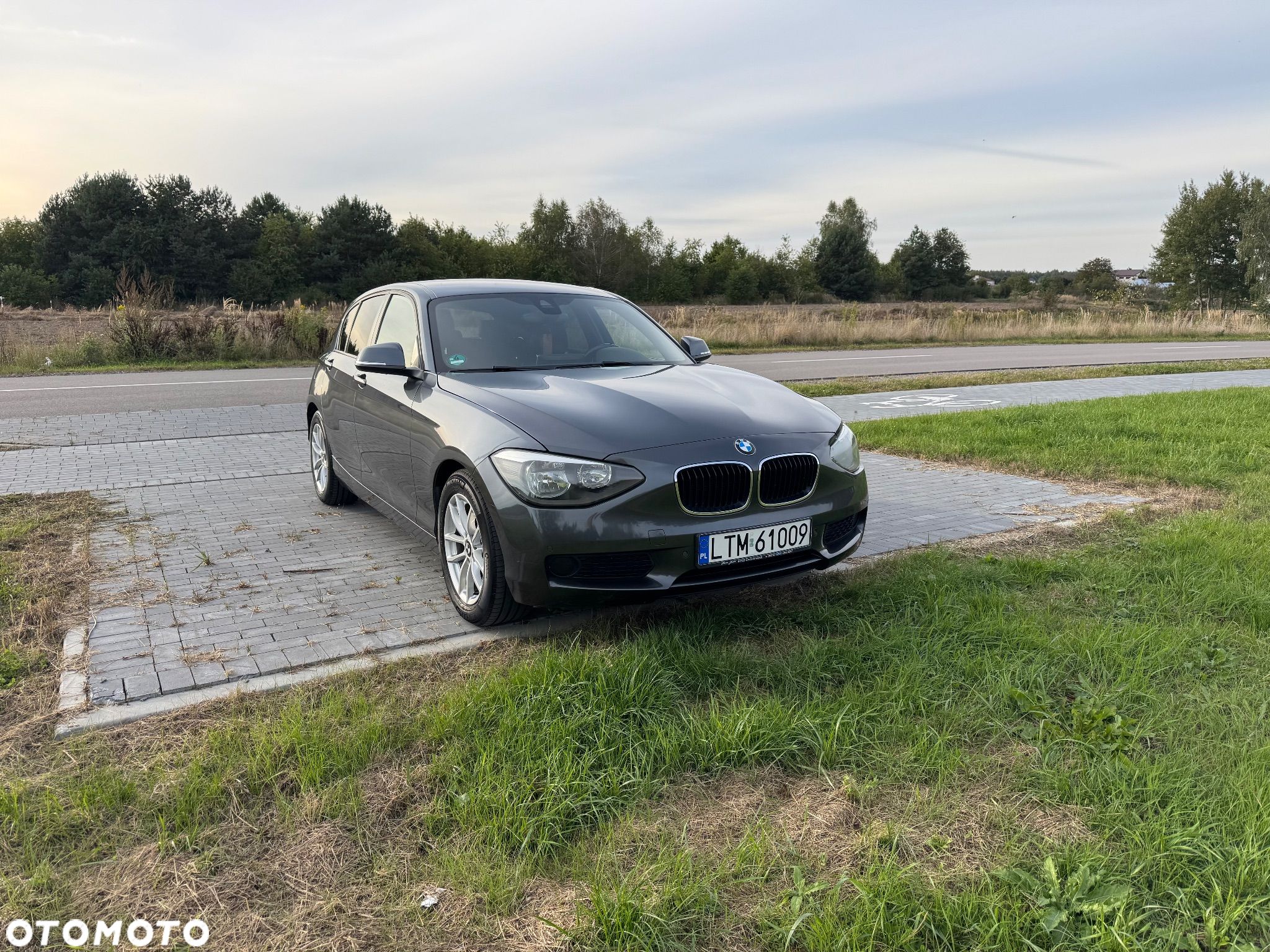 BMW Seria 1 116d EfficientDynamics Edition - 1