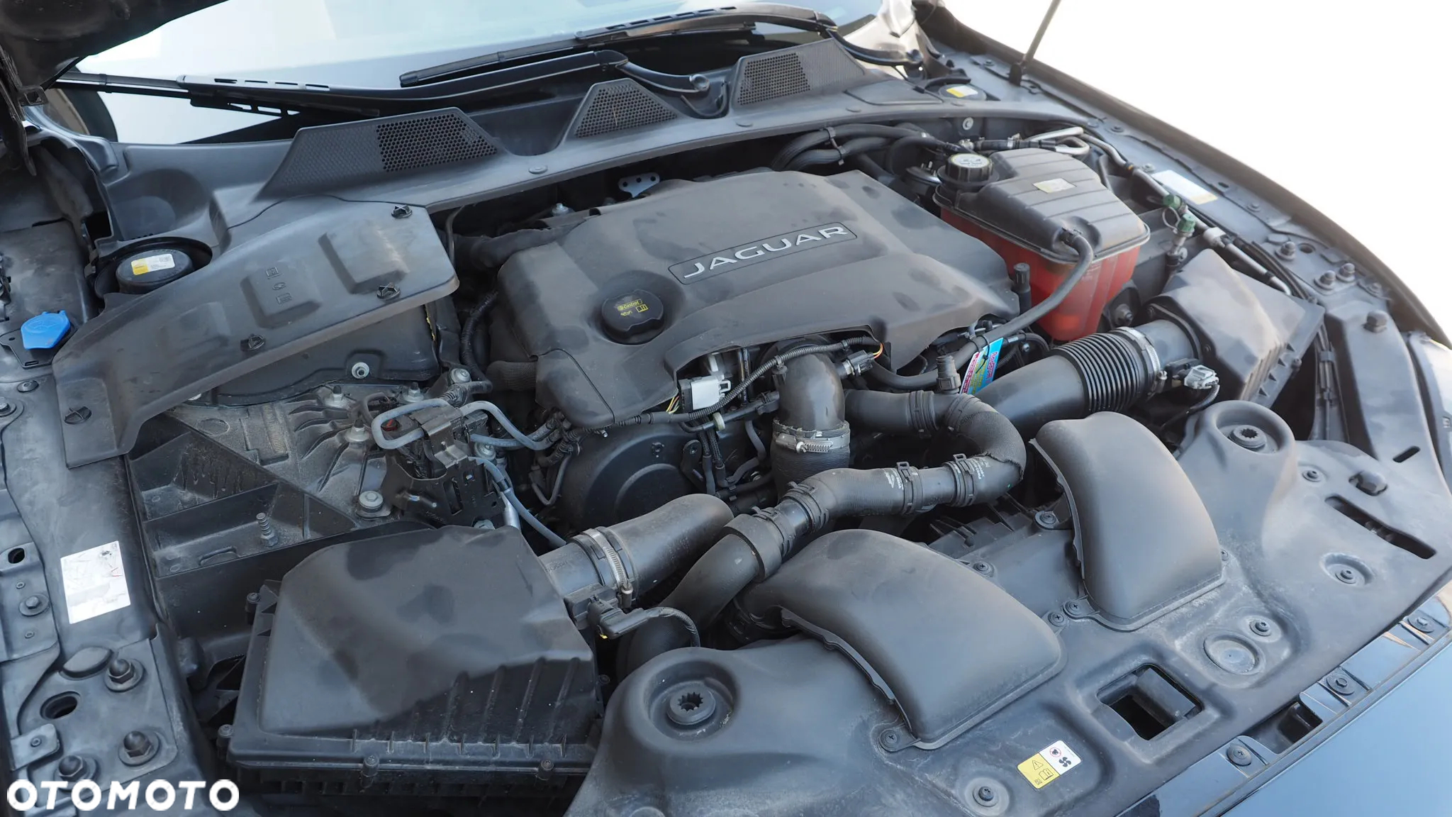 Jaguar XJ 3.0 D V6 XJ50 - 30