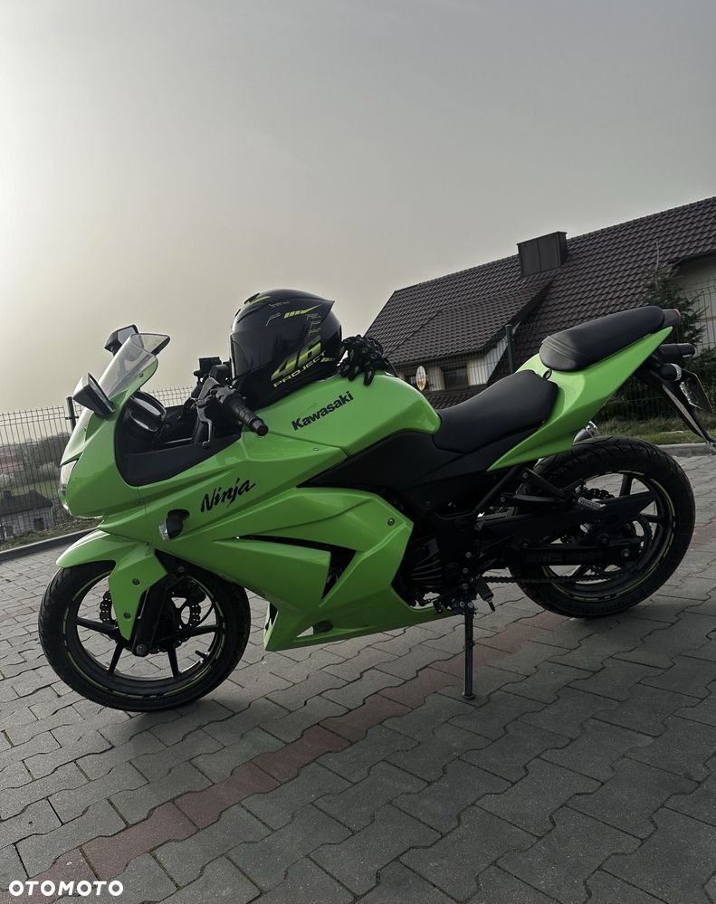 Kawasaki Ninja 250R - 1