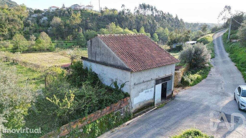 Terreno misto em São Miguel, Santa Eufémia e Rabaçal - Grande imagem: 3/28