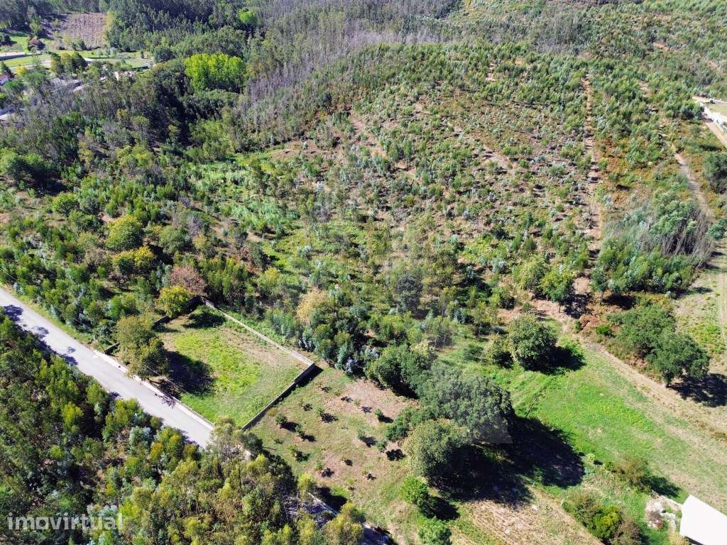 Terreno em Serém de Cima - Macinhata do Vouga - Grande imagem: 4/13