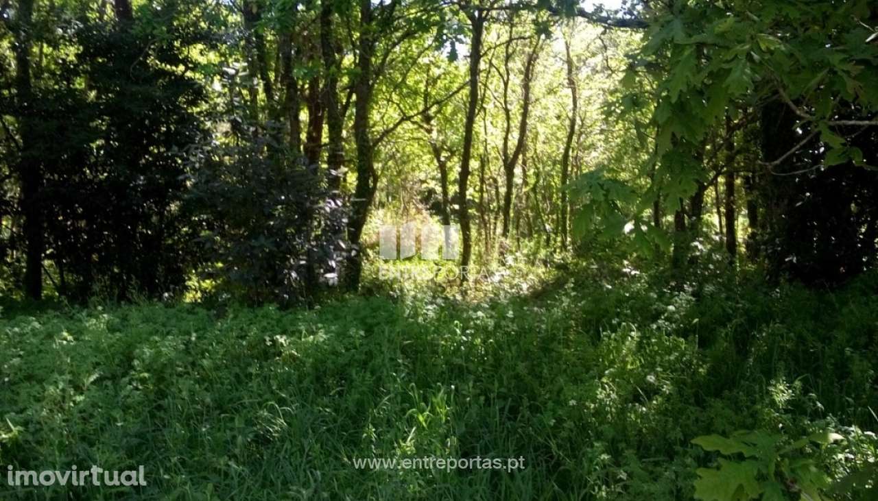 Venda de 3 Terrenos, Afife, Viana do Castelo - Grande imagem: 3/31