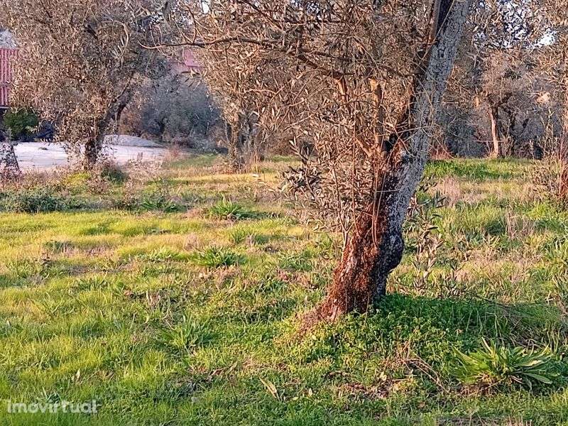 Terreno 747m2 viabilidade 60% de construção na Charneca Alvorge Ansião - Grande imagem: 5/6