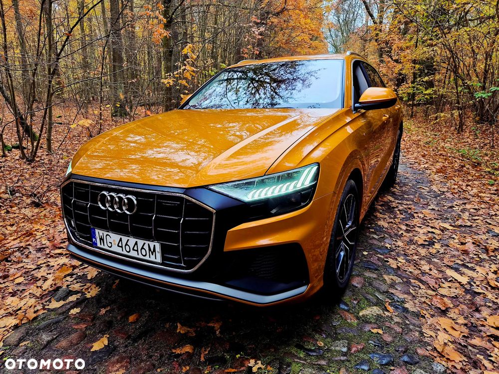 Audi Q8 - 3