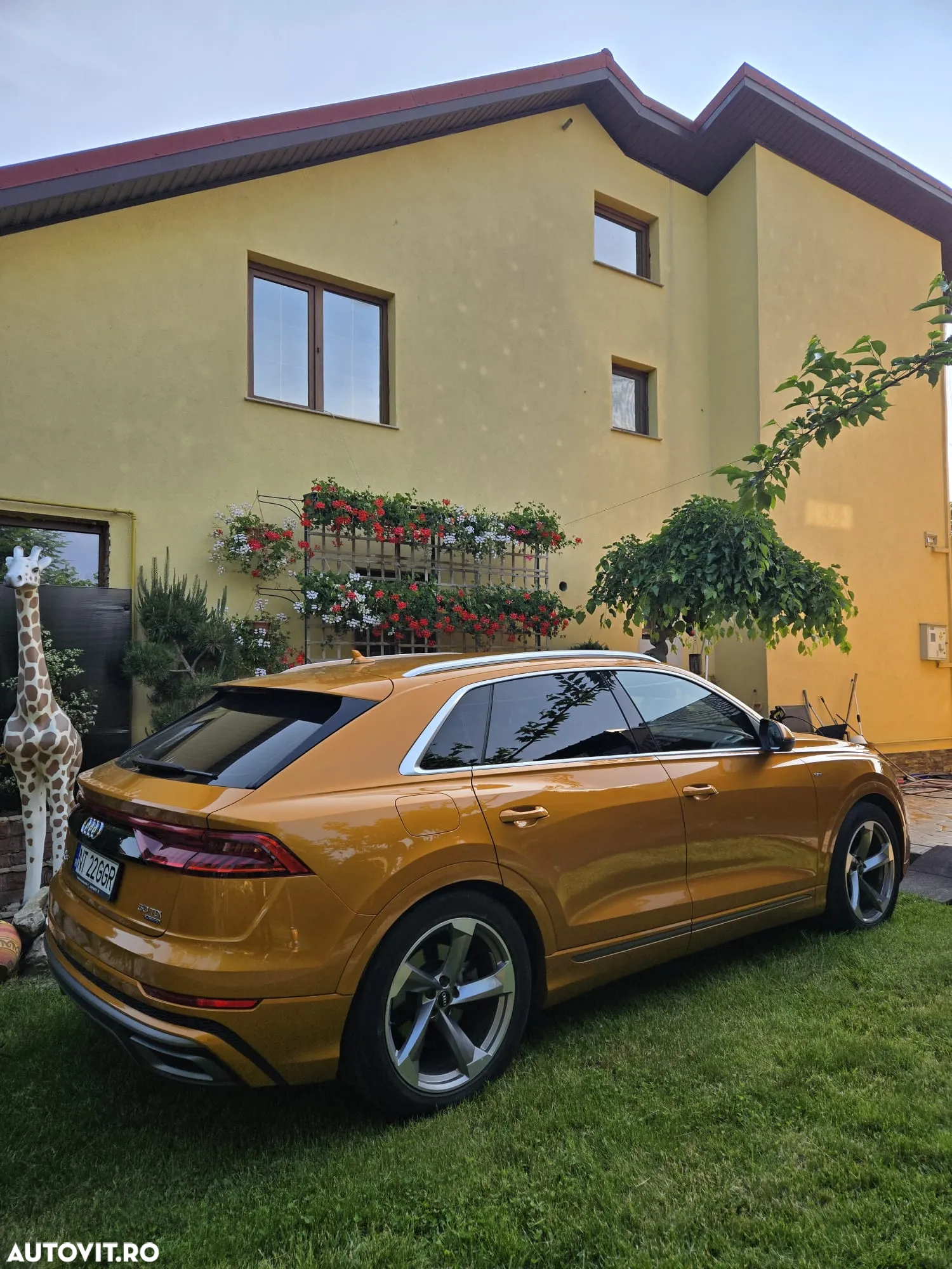 Audi Q8 - 6