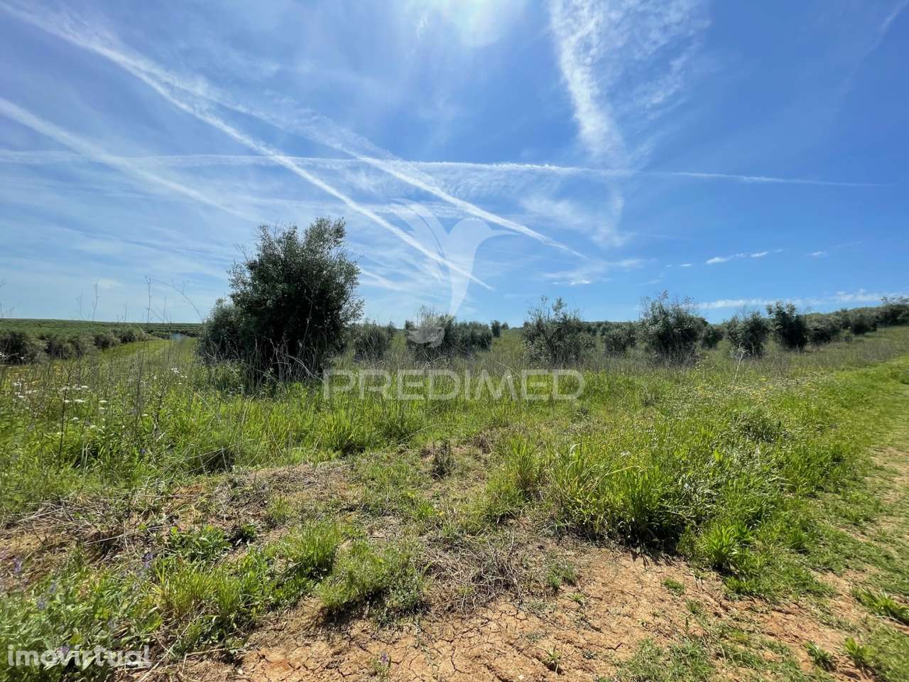 Terreno perto da Vila de Avis - Grande imagem: 4/14