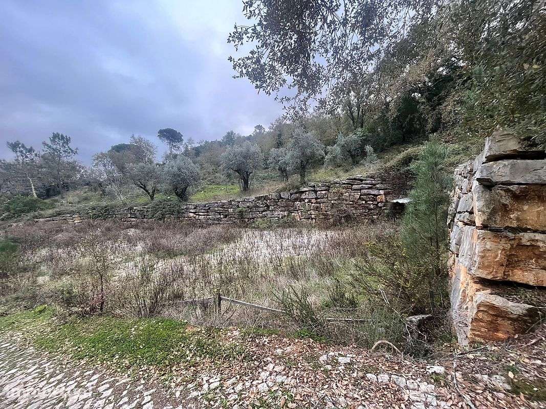 Terreno  para venda - Grande imagem: 5/19