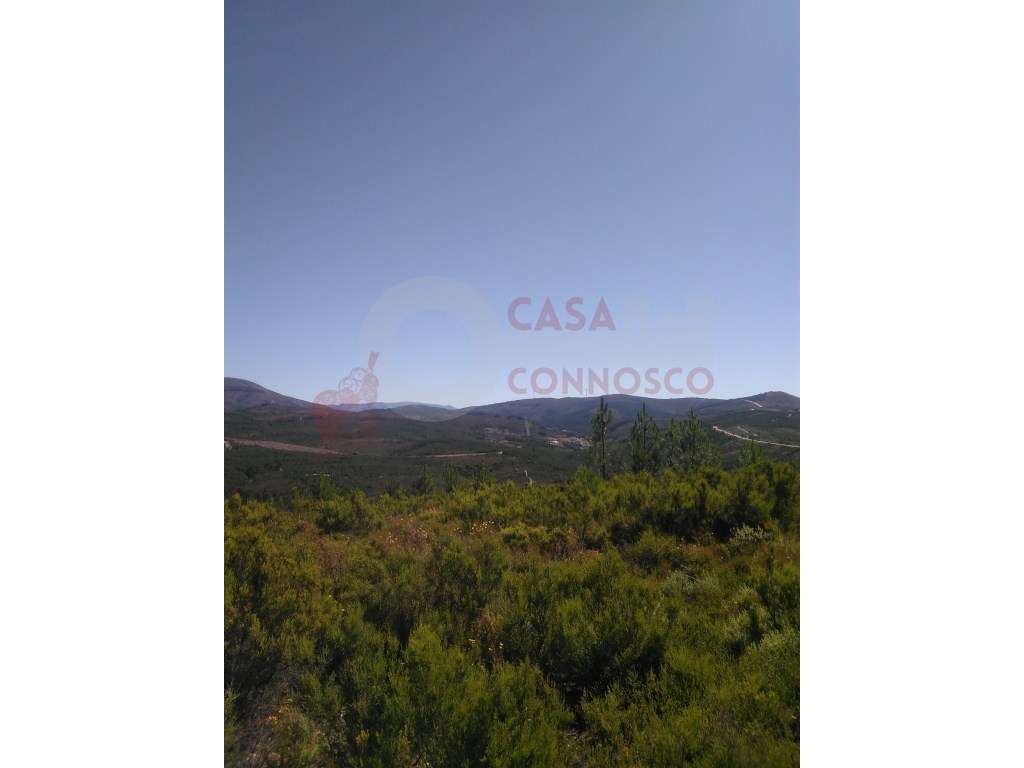 Terreno com vistas privilegiadas para a barragem de Santa Luzia - Grande imagem: 3/6