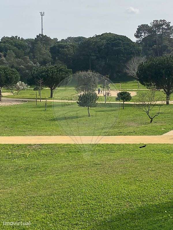 Apartamento T1 para arrendamento - Grande imagem: 4/24