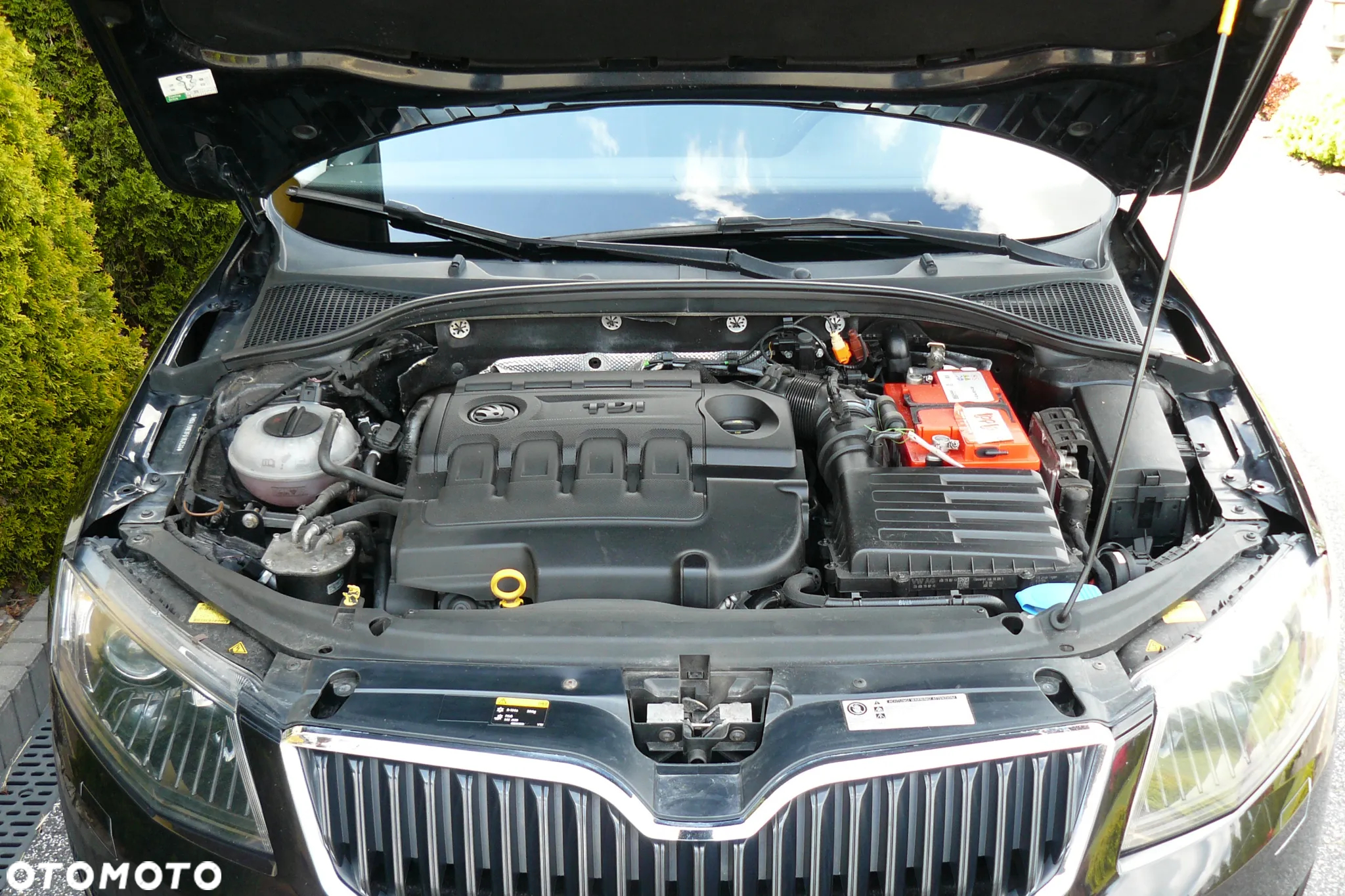 Skoda Octavia 2.0 TDI Elegance - 32