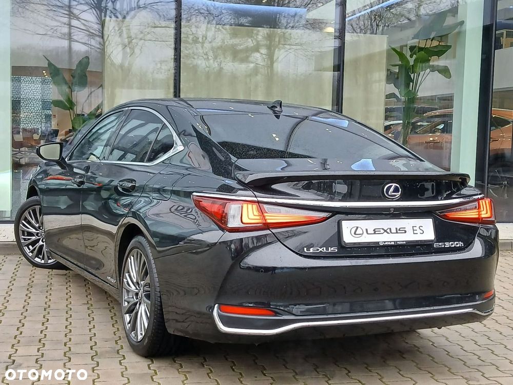 Lexus ES 300h Omotenashi - 11