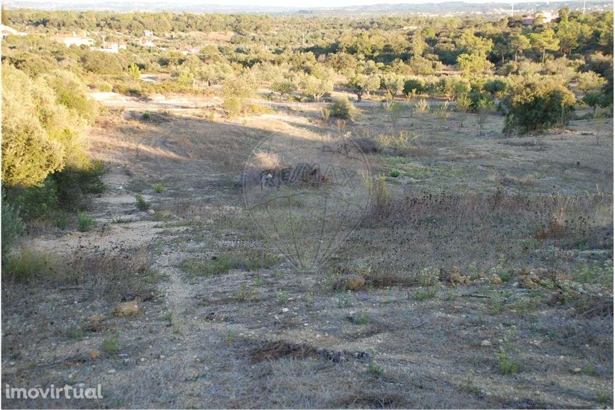 Terreno rústico - Grande imagem: 3/4