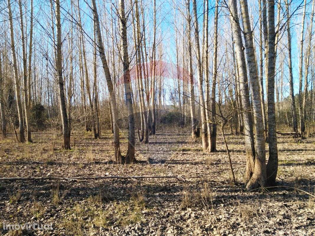 Terreno  para venda - Grande imagem: 5/25