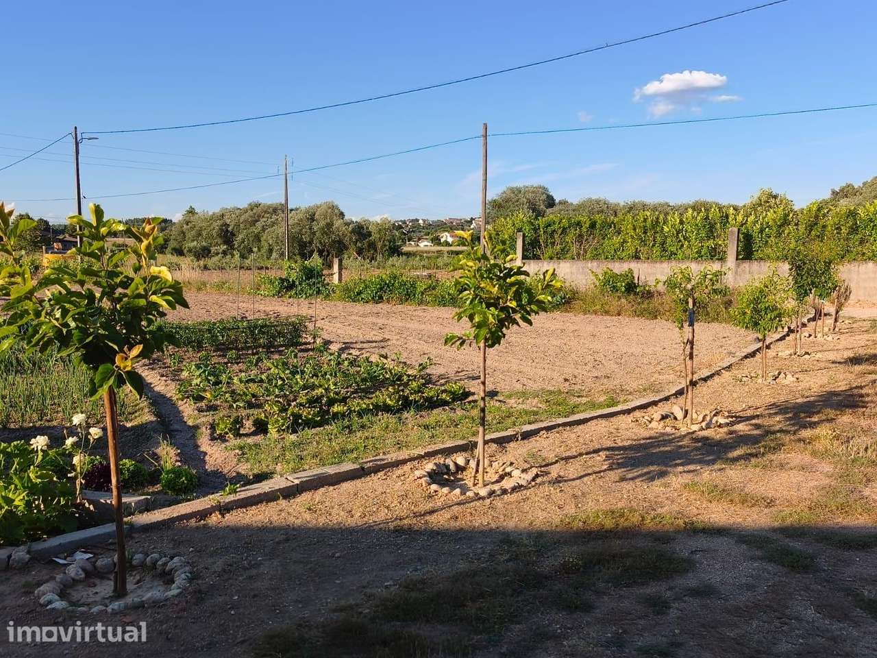 Terreno rustico em Peraboa - Grande imagem: 5/16