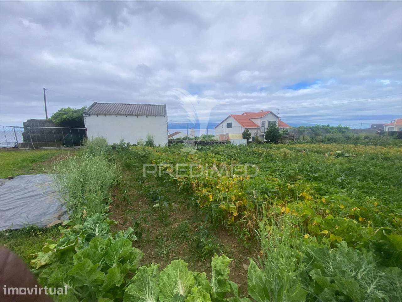 Terreno Urbanizável com 546 m² na Vila da Calheta – São Jorge - Grande imagem: 3/7