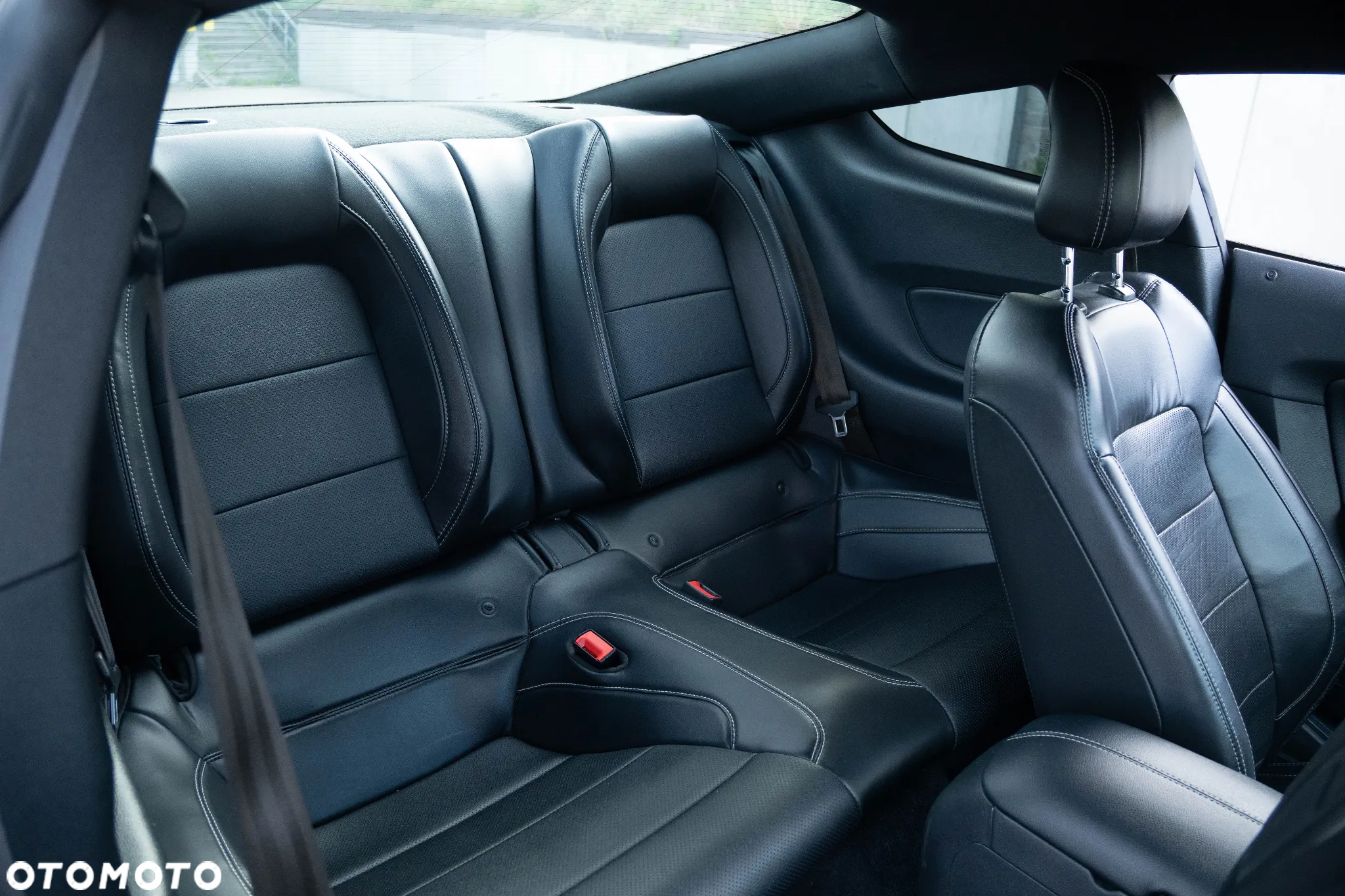 Ford Mustang 2.3 EcoBoost - 17